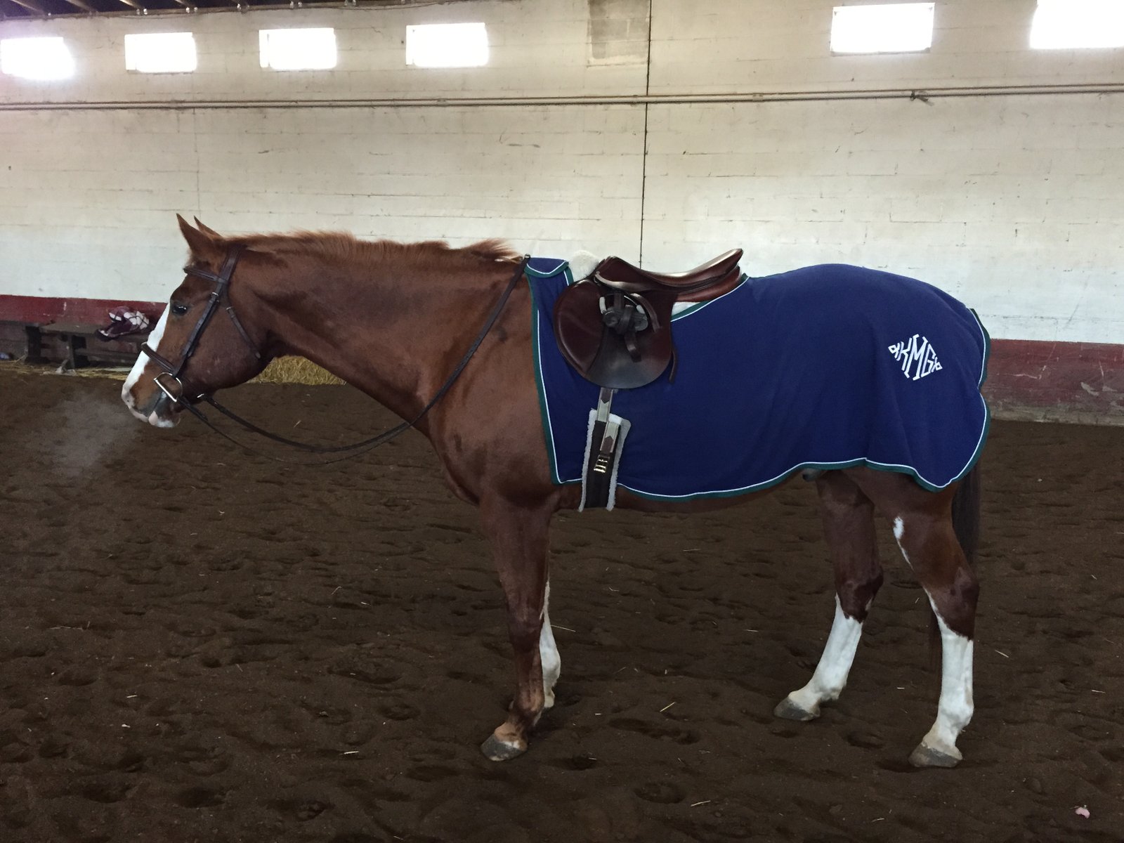 smartpak fleece quarter sheet review stampy and the brain quarter sheets for horses
