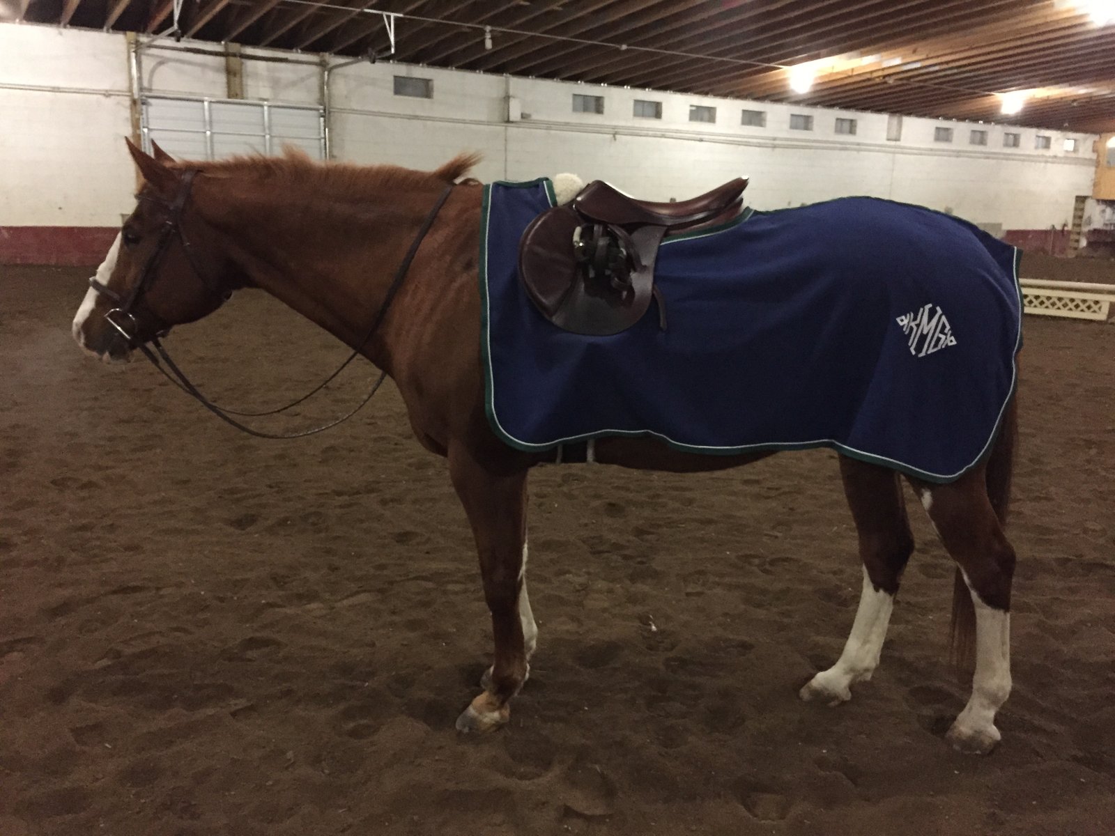 smartpak fleece quarter sheet review stampy and the brain quarter sheets for horses
